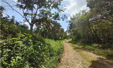 Finca en venta de 20.5  hectareas en El Limite - Capira (DR)