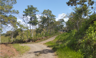 Finca en venta de 20.5  hectareas en El Limite - Capira (DR)
