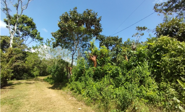 Finca en venta de 20.5  hectareas en El Limite - Capira (DR)