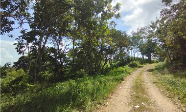 Finca en venta de 20.5  hectareas en El Limite - Capira (DR)