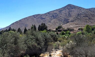 Parcela en venta en VICUÑA