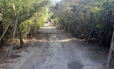 Parcela en venta en VICUÑA