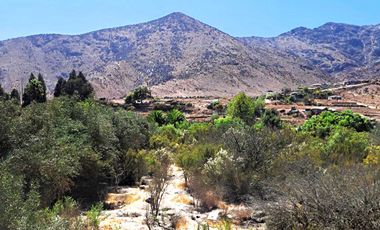 Parcela en venta en VICUÑA