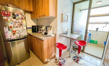 Departamento en Venta en Blest Gana / Mall Plaza Egaña