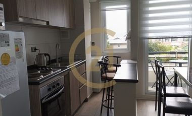 Departamento Nuevo  Villarrica