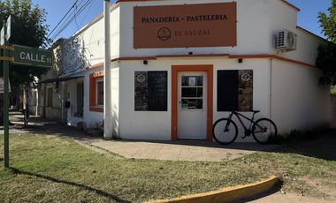 Casa -mas departamento y local en Salvador Maria, partido de Lobos