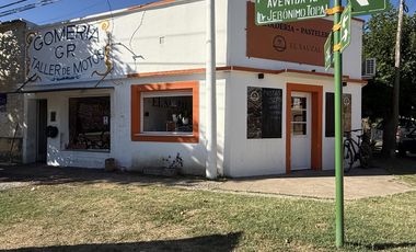 Casa -mas departamento y local en Salvador Maria, partido de Lobos
