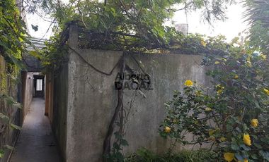 Local - La Plata