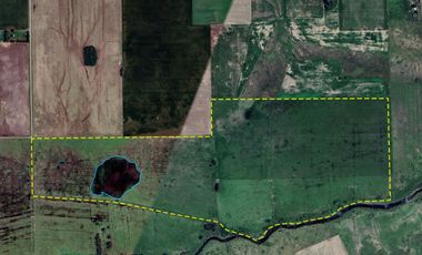 Campo en venta en Coronel Bogado