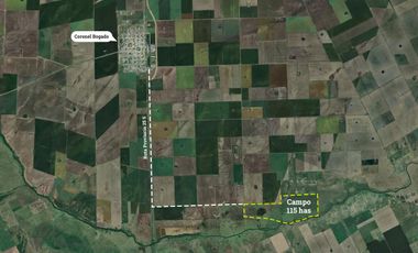 Campo en venta en Coronel Bogado