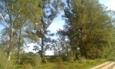 Terreno - Recreo