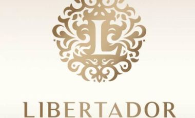 SE VENDE DEPARTAMENTO UBICADO A 4 CUADRAS DE BV. PELLEGRINI