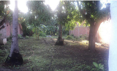 Terreno Comercial en Venta cerca de la Universidad de Colima Villa de Alvarez
