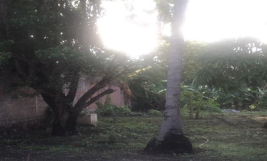 Terreno Comercial en Venta cerca de la Universidad de Colima Villa de Alvarez