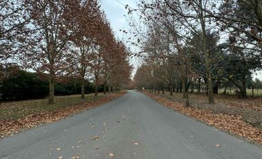 ALQUILER CASA EL NACIONAL , CLUB DE CAMPO