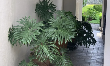 RESIDENCIA EN VENTA, HERMOSA PROPIEDAD en Tecamachalco