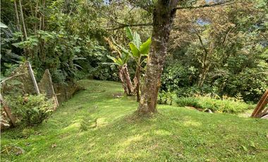 ARRIENDO LOCAL COMERCIAL CAMPESTRE EN LA CUCHILLA DEL SALADO