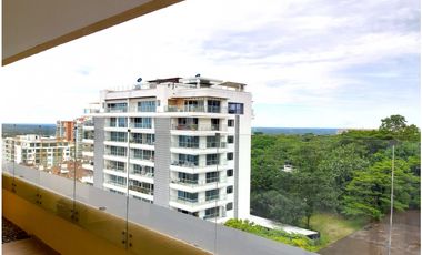 B604 Palos de Caña