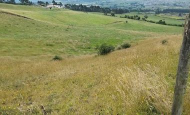 venta de Hacienda Machachi Aloasi el corazón vista al Cotopaxi