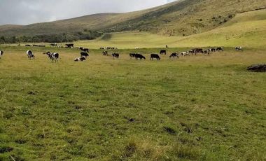 venta de Hacienda Machachi Aloasi el corazón vista al Cotopaxi