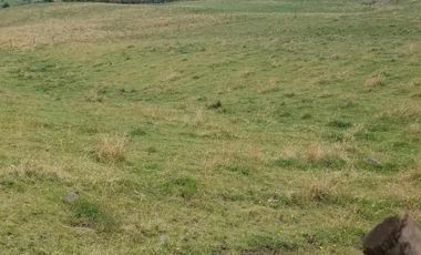 venta de Hacienda Machachi Aloasi el corazón vista al Cotopaxi