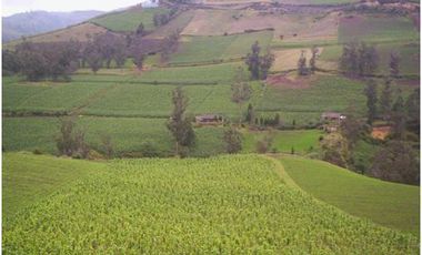 venta de Hacienda Machachi Aloasi el corazón vista al Cotopaxi