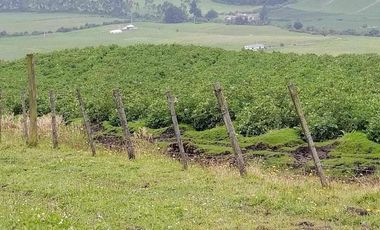 venta de Hacienda Machachi Aloasi el corazón vista al Cotopaxi