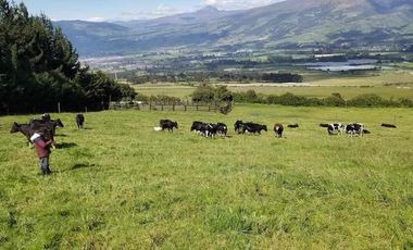 venta de Hacienda Machachi Aloasi el corazón vista al Cotopaxi