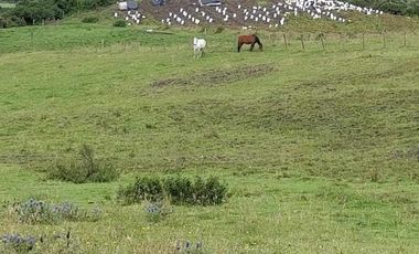 venta de Hacienda Machachi Aloasi el corazón vista al Cotopaxi