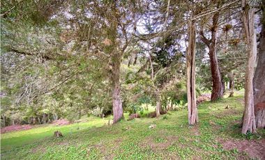 Venta Lote Parcelacion Sobre Planos El Retiro
