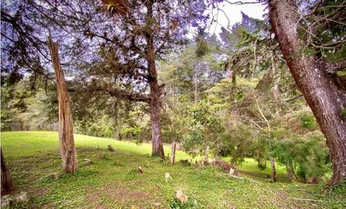 Venta Lote Parcelacion Sobre Planos El Retiro