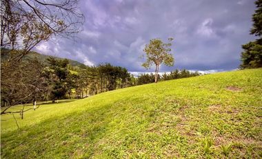 Venta Lote Parcelacion Sobre Planos El Retiro