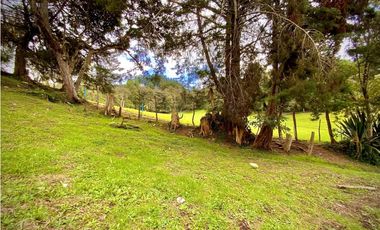 Venta Lote Parcelacion Sobre Planos El Retiro