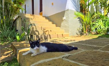 Vendo Casa Barichara Sector hospital Palma Roja