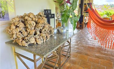 Vendo Casa Barichara Sector hospital Palma Roja