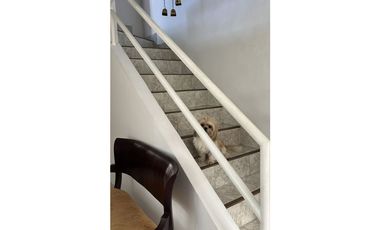 CASA UNIFAMILIAR EN VENTA SANTA MONICA PARTE ALTA (SL)