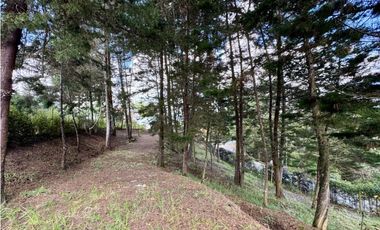 Vendo Casa campestre en Guarne. Vereda la Mosquita