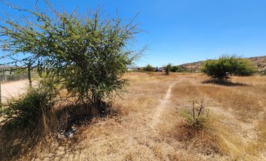 Se vende Parcela en Fundo El Molino, Marchigue