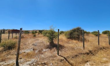 Se vende Parcela en Fundo El Molino, Marchigue