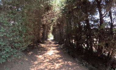 Ajusco, Tlalpan, Ciudad de México