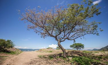Terreno en  venta en Ajijic, Jalisco