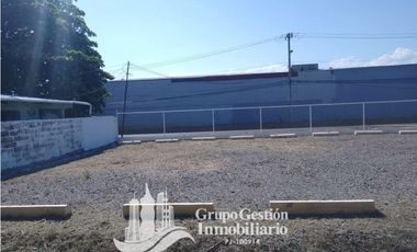 Vendo o Alquilo propiedad en David Chiriqui