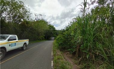Finca en venta de 70 HAS en Nuevo Arenosa (DR)