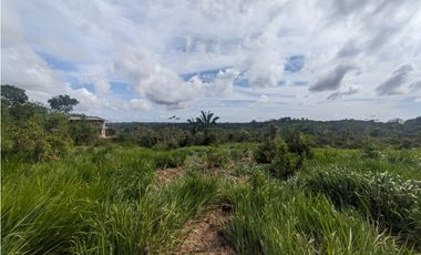 Finca en venta de 70 HAS en Nuevo Arenosa (DR)