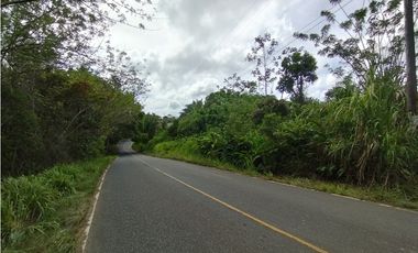 Finca en venta de 70 HAS en Nuevo Arenosa (DR)