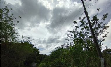 Finca en venta de 70 HAS en Nuevo Arenosa (DR)