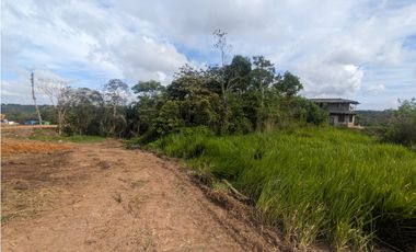 Finca en venta de 70 HAS en Nuevo Arenosa (DR)