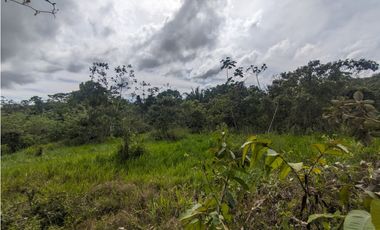 Finca en venta de 70 HAS en Nuevo Arenosa (DR)