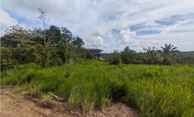 Finca en venta de 70 HAS en Nuevo Arenosa (DR)