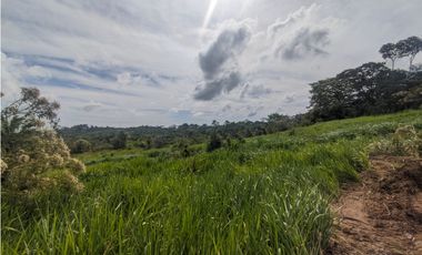 Finca en venta de 70 HAS en Nuevo Arenosa (DR)